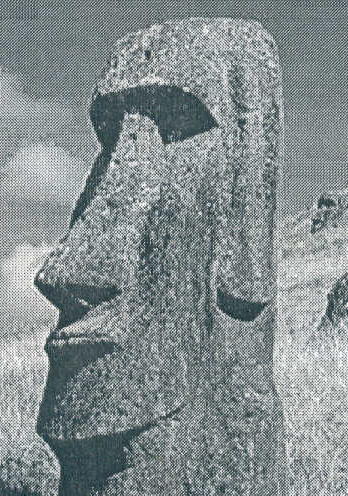 fred moai